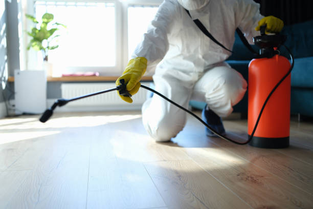 Affordable Biohazard Cleanup solutions in Springfield, VA